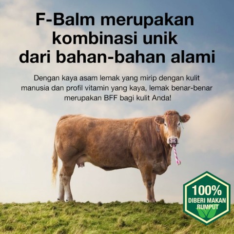Balsem Lemak Anti Penuaan
