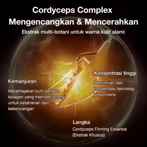 Krim Concealer Cordyceps Ganoderma
